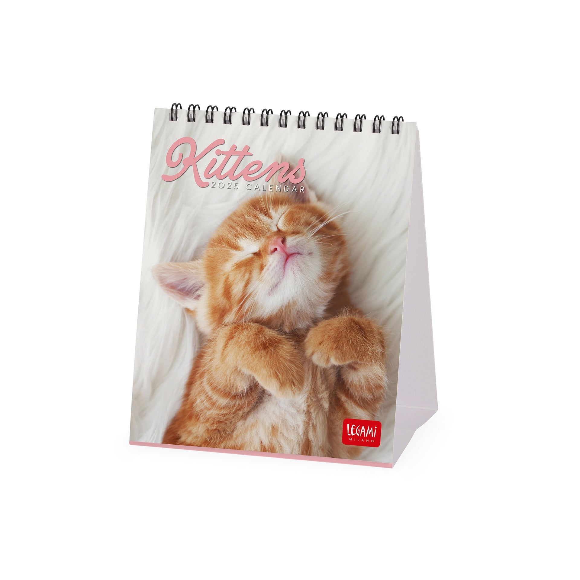 2025 Kittens by Legami - Desk Easel Calendar