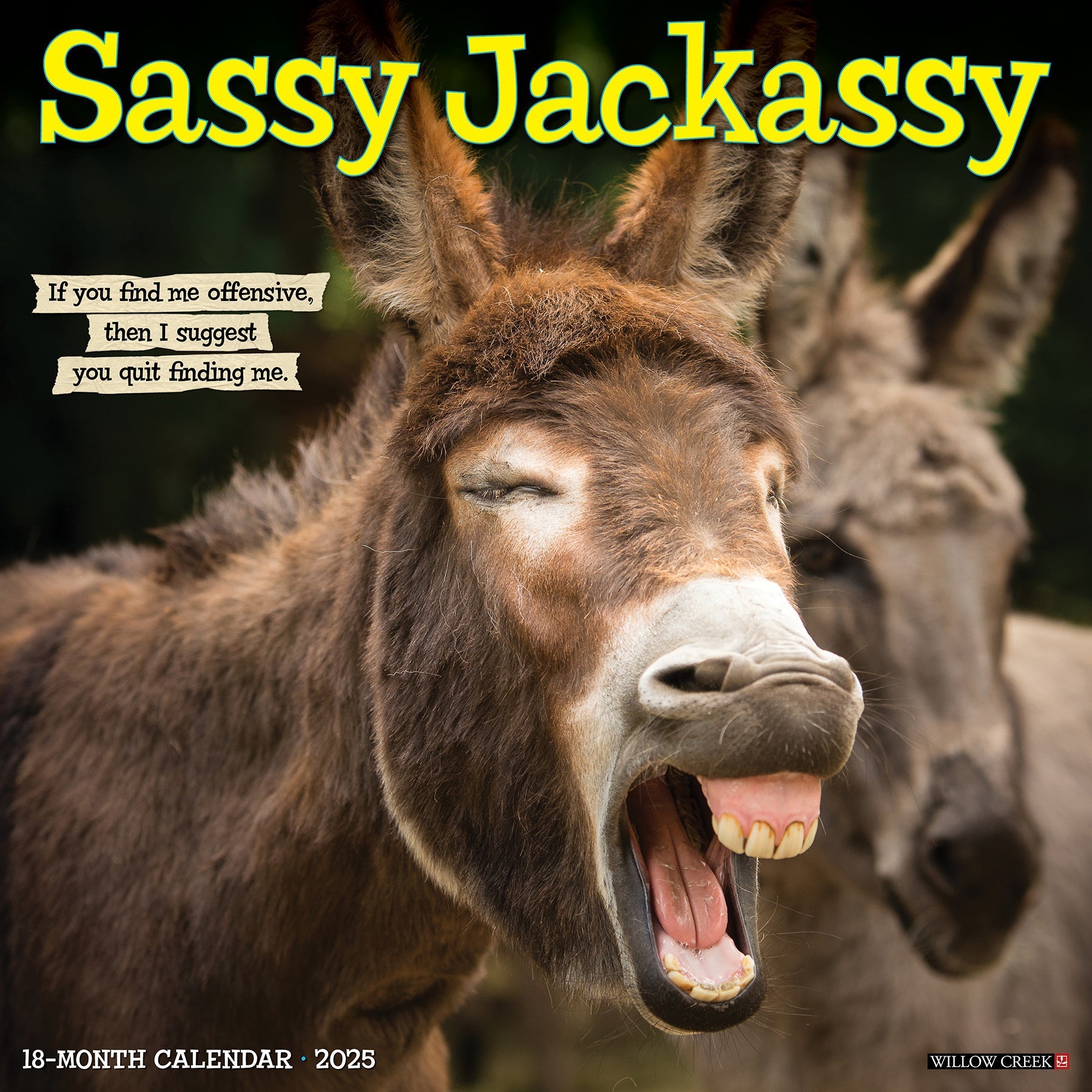 2025 Sassy Jackassy - Square Wall Calendar