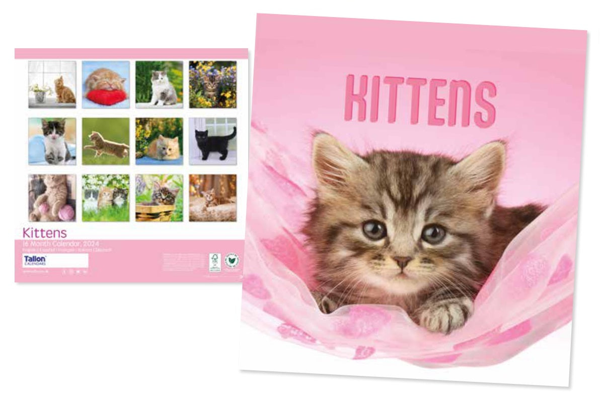 2024 Kittens Square Wall Calendar   136b4085bc4deafbd1839c4c3cff4cfd 