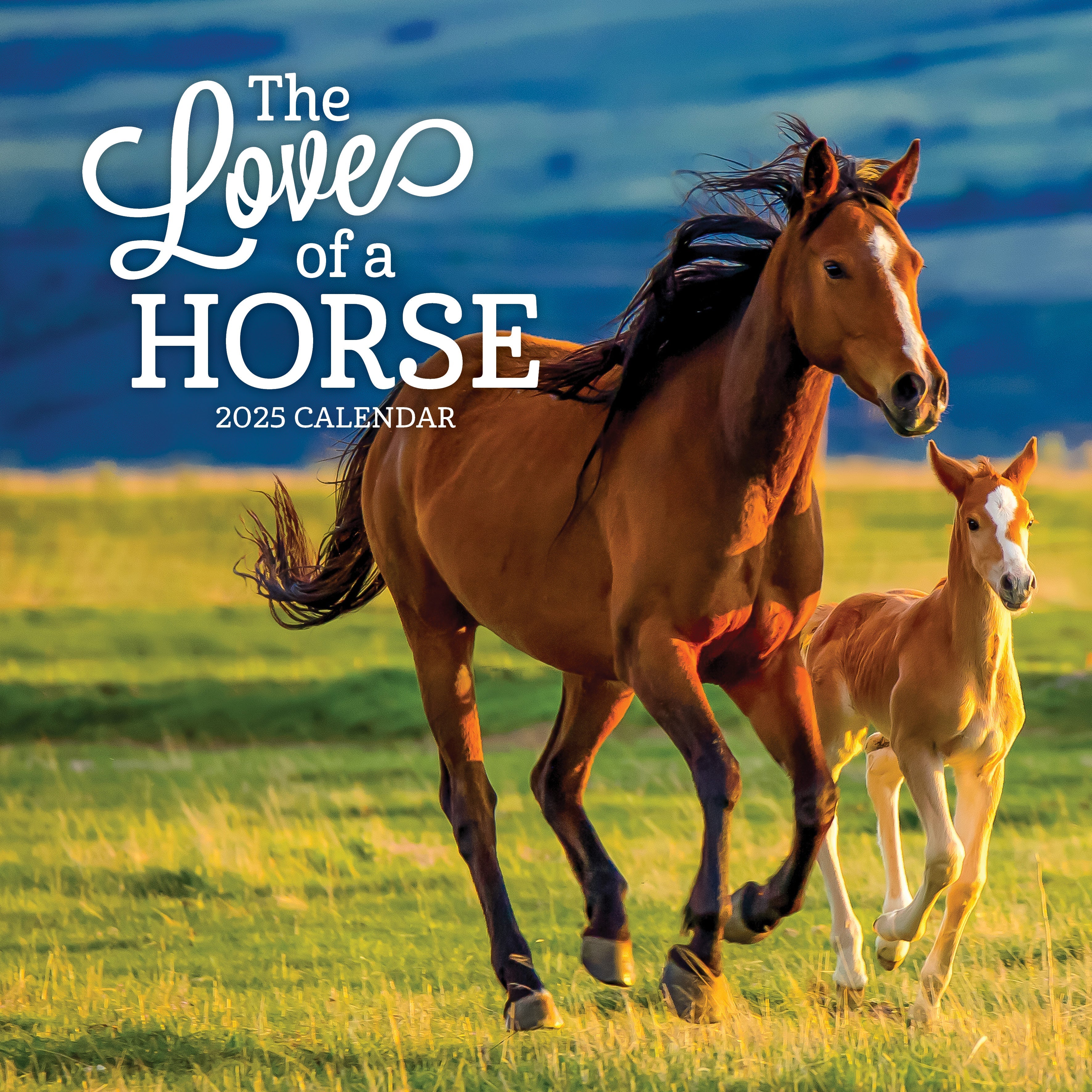 2025 The Love Of A Horse - Square Wall Calendar