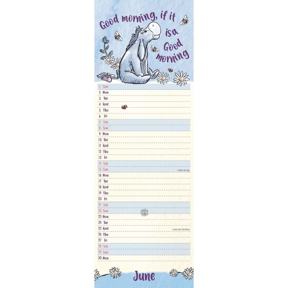 2025 Eeyore - Slim Wall Calendar