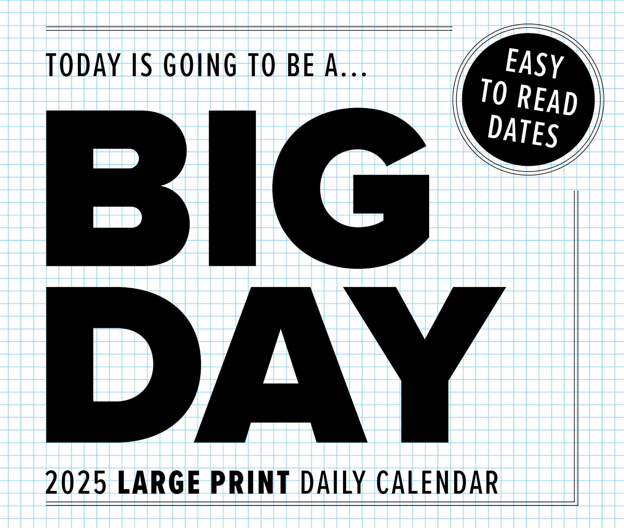 2025 Big Day - Daily Boxed Page-A-Day Calendar