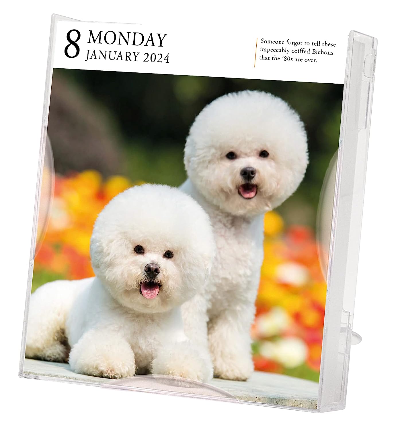 2024 Dog Gallery - Daily Boxed Page-A-Day Calendar  SOLD OUT