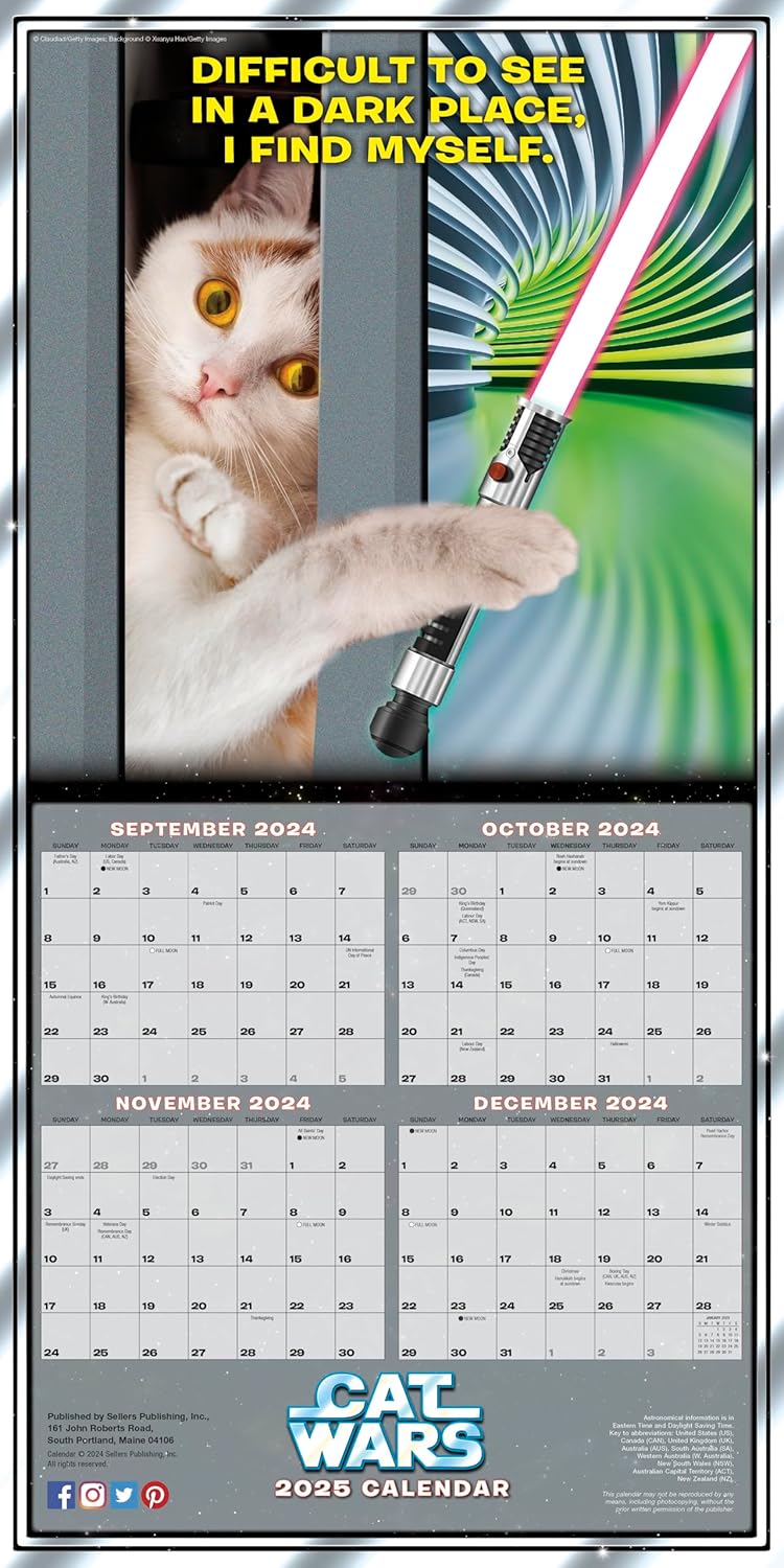 2025 Cat Wars - Square Wall Calendar