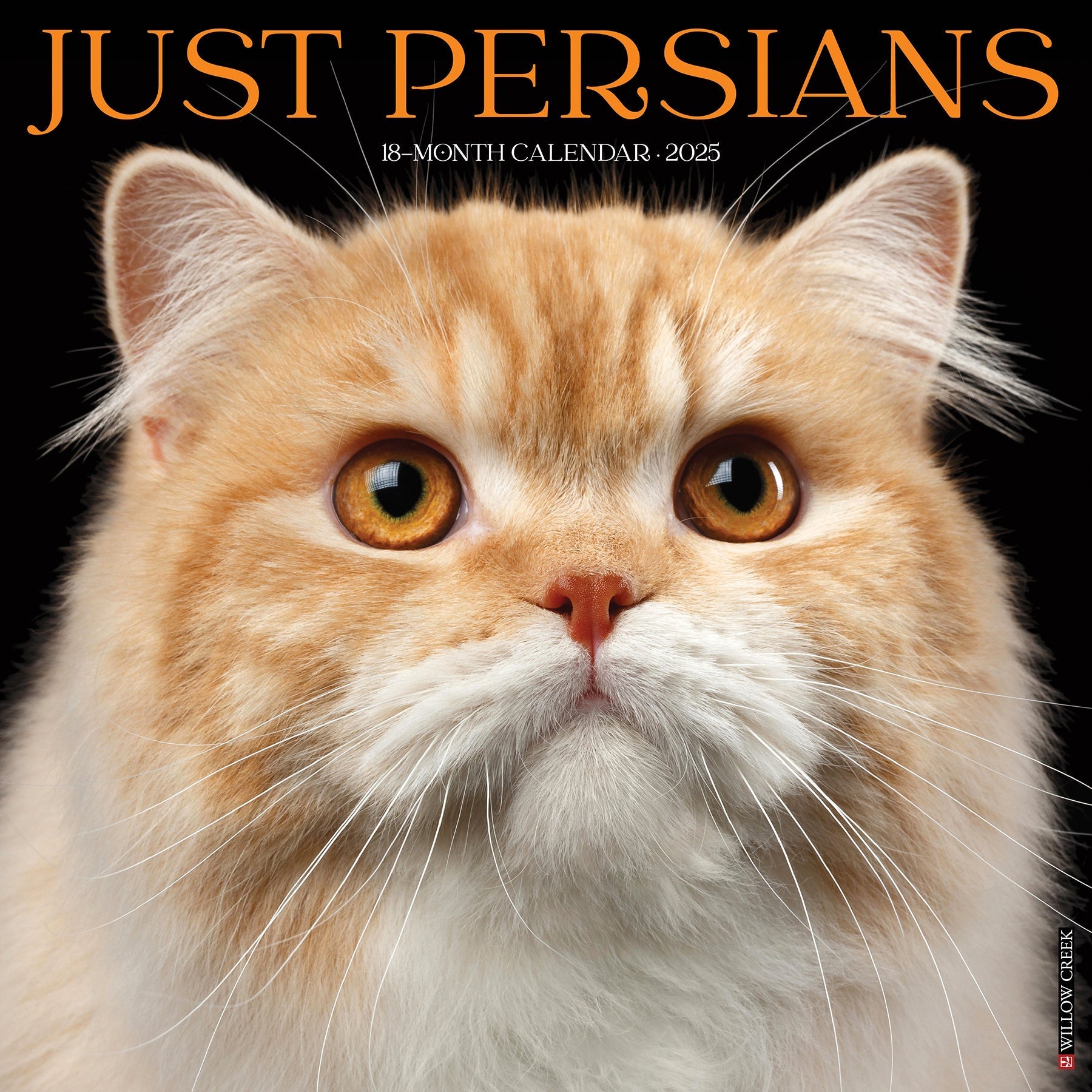 2025 Persians - Square Wall Calendar