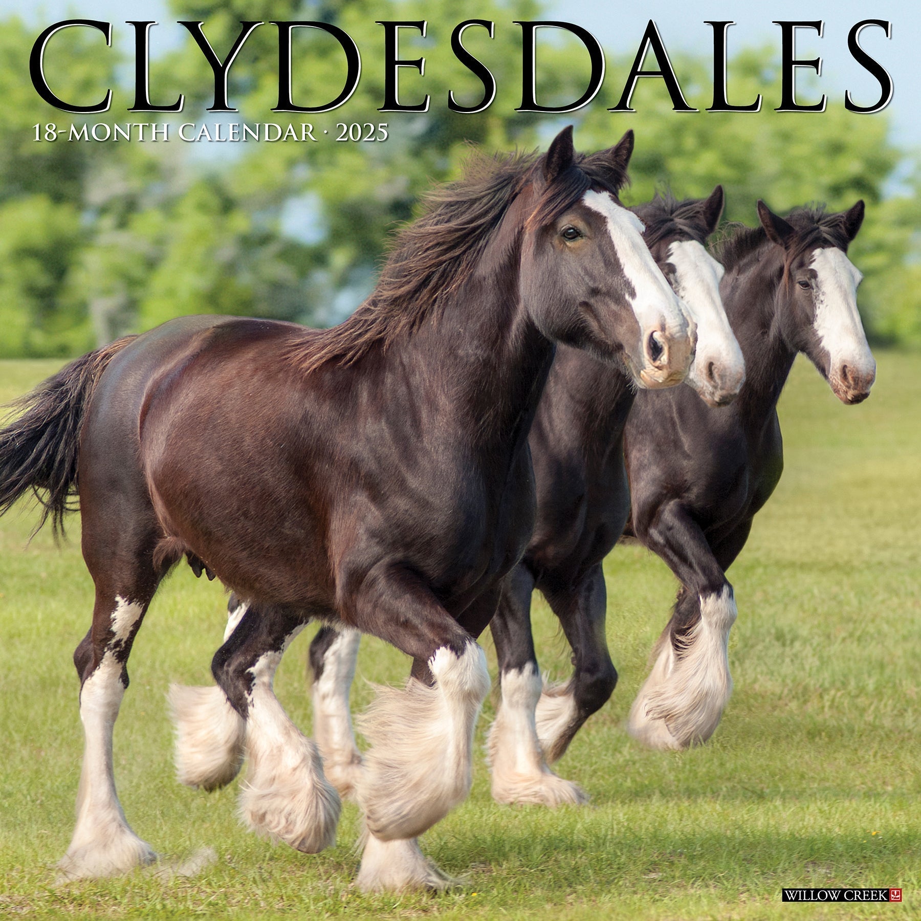 2025 Clydesdales - Square Wall Calendar