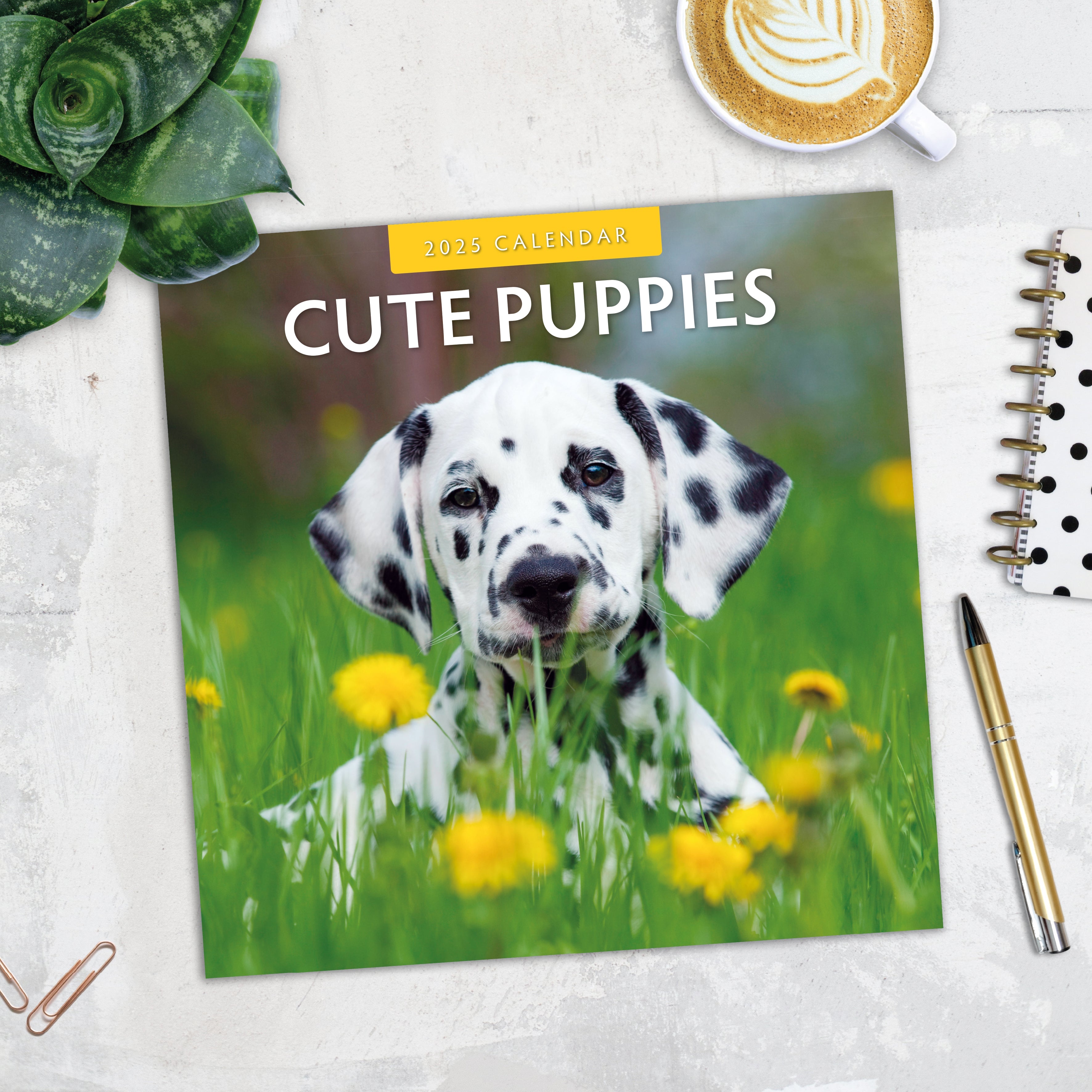 2025 Cute Puppies - Square Wall Calendar