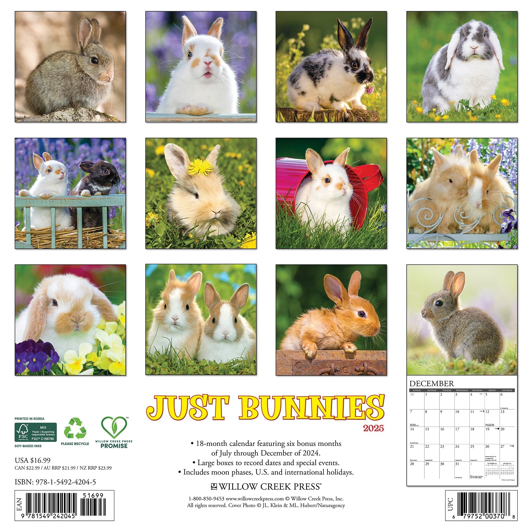 2025 Bunnies - Square Wall Calendar