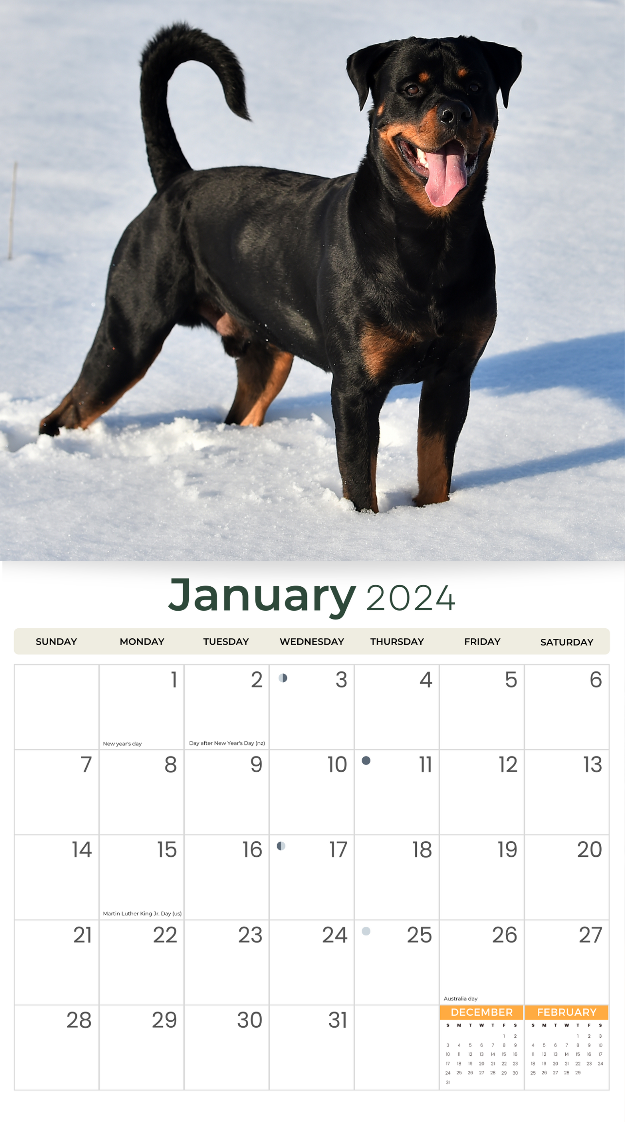 2024 Rottweilers Dogs & Puppies - Deluxe Wall Calendar by Just Calendars - 16 Month - Plastic Free