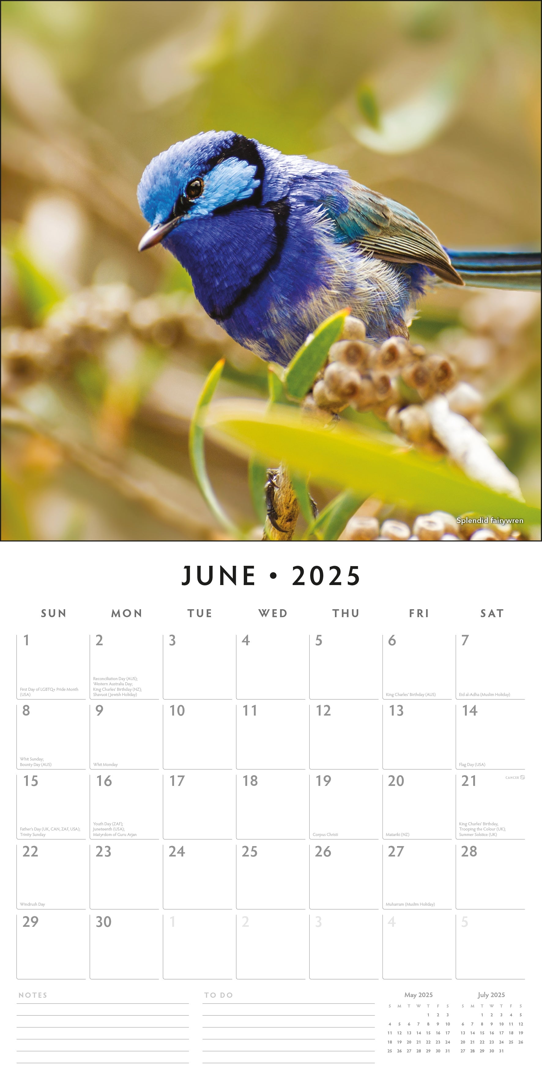 2025 Cute Birds - Square Wall Calendar