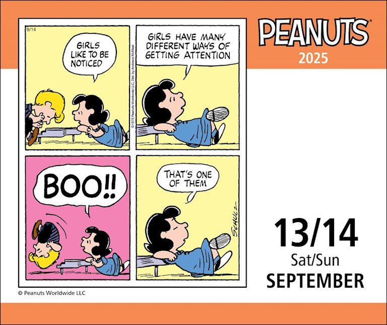 2025 Peanuts - Daily Boxed Page-A-Day Calendar