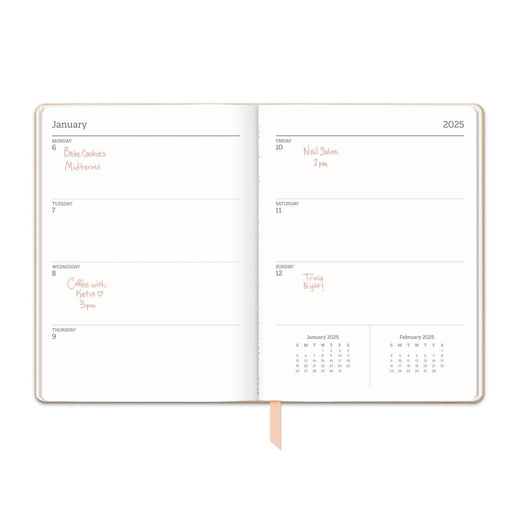 2025 Flowers on Rose Quartz - Large Dual-Textured Weekly & Monthly Diary/Planner