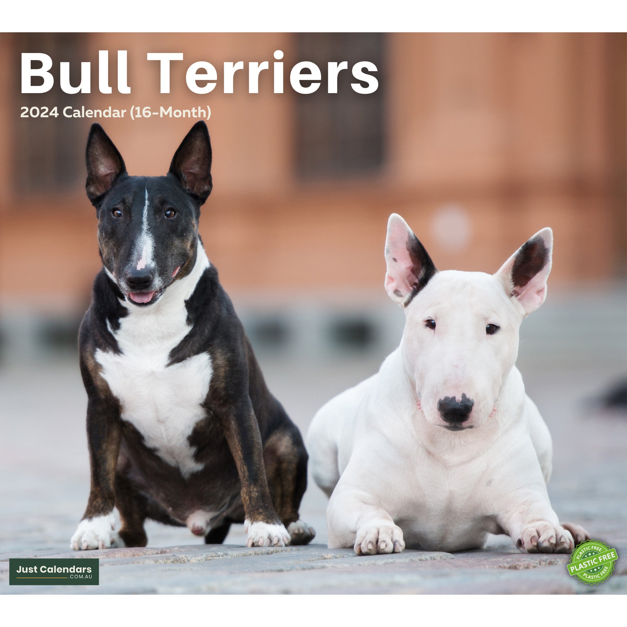 2024 Bull Terriers Dogs & Puppies - Deluxe Wall Calendar by Just Calendars - 16 Month - Plastic Free