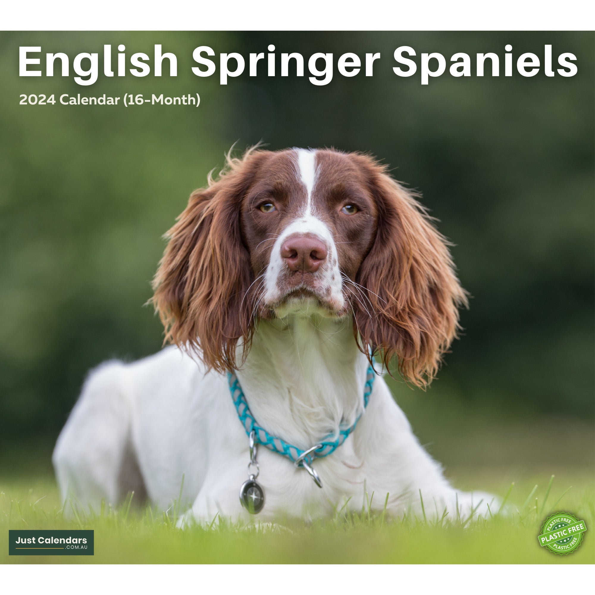 2024 English Springer Spaniels Deluxe Wall Calendar Dogs & Puppies
