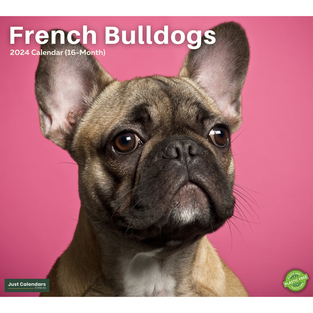 2024 French Bulldogs Deluxe Wall Calendar Dogs & Puppies Calendars