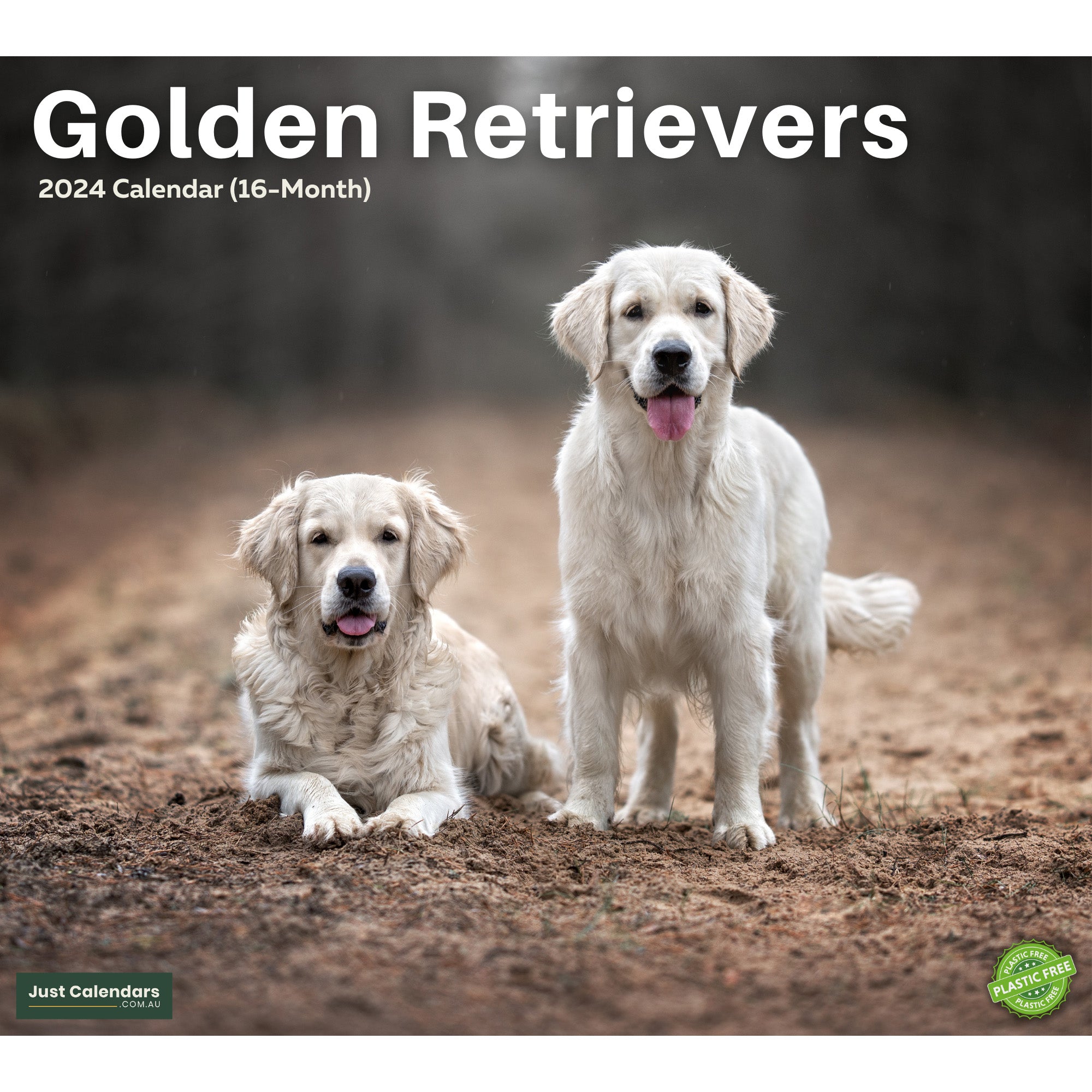 2024 Golden Retrievers - Deluxe Wall Calendar