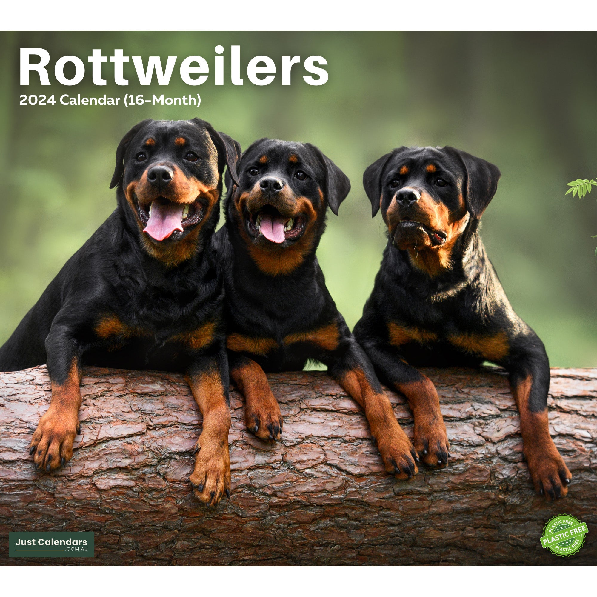2024 Rottweilers Dogs & Puppies - Deluxe Wall Calendar by Just Calendars - 16 Month - Plastic Free