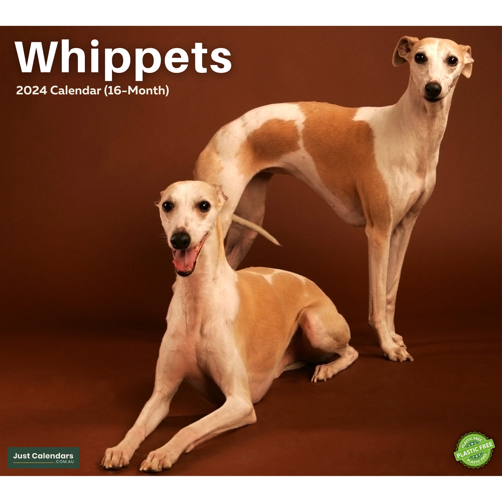 2024 Whippets Dogs & Puppies - Deluxe Wall Calendar by Just Calendars - 16 Month - Plastic Free