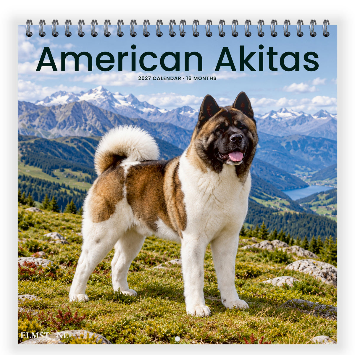 2027 American Akitas Wire-O square wall calendar - front cover