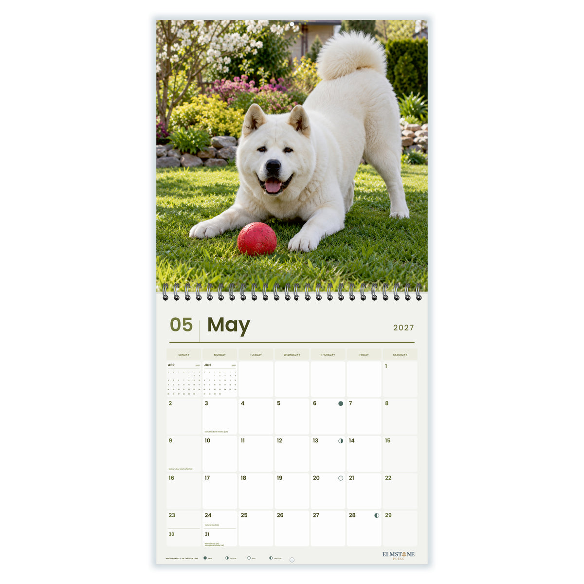 2027 American Akitas Wire-O square wall calendar - may open monthly spread on white