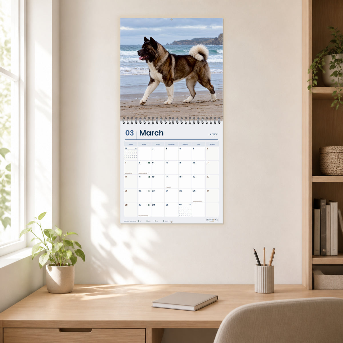 2027 American Akitas Wire-O square wall calendar - open calendar displayed in a home office march