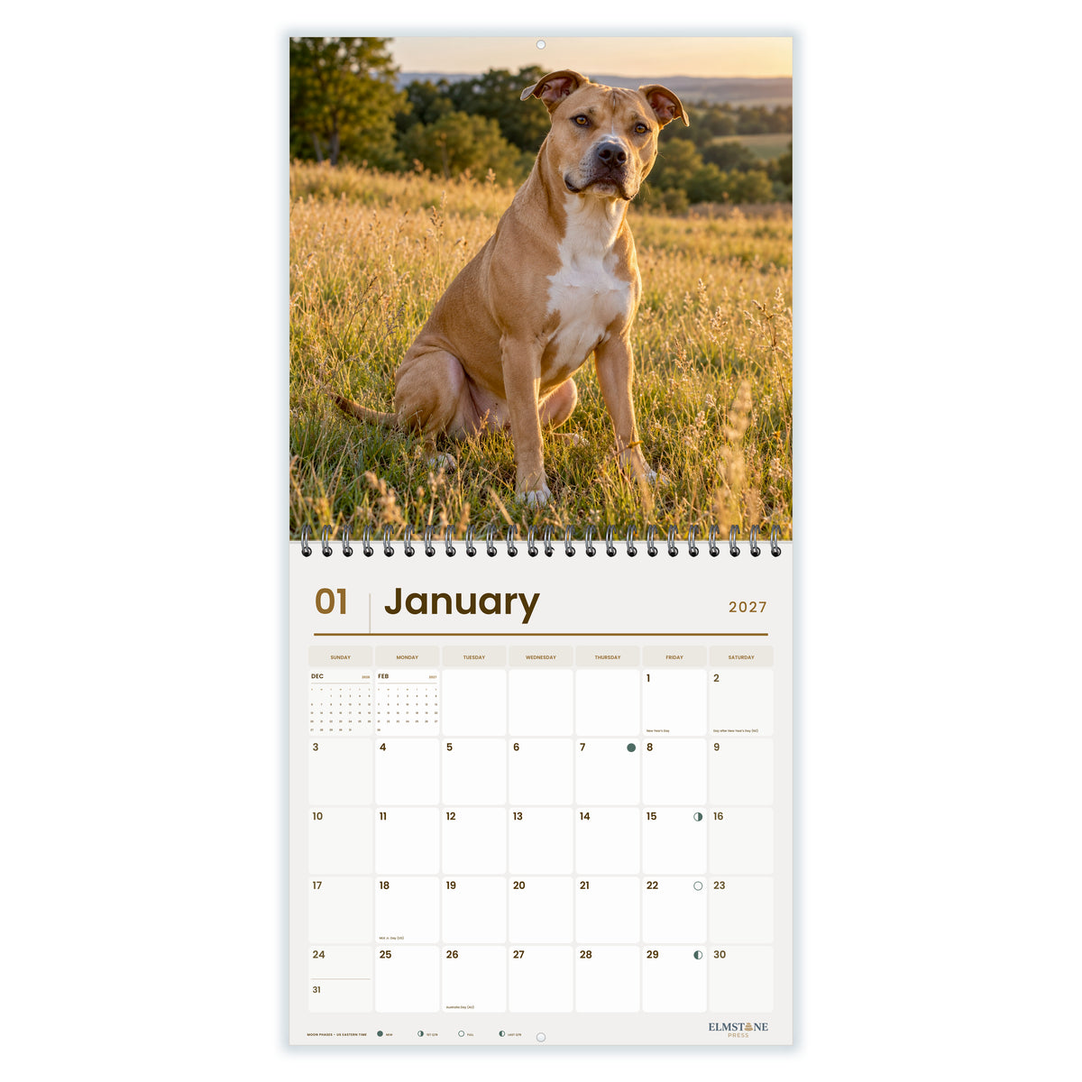 2027 American Pit Bull Terriers Wire-O square wall calendar - January open monthly spread on white