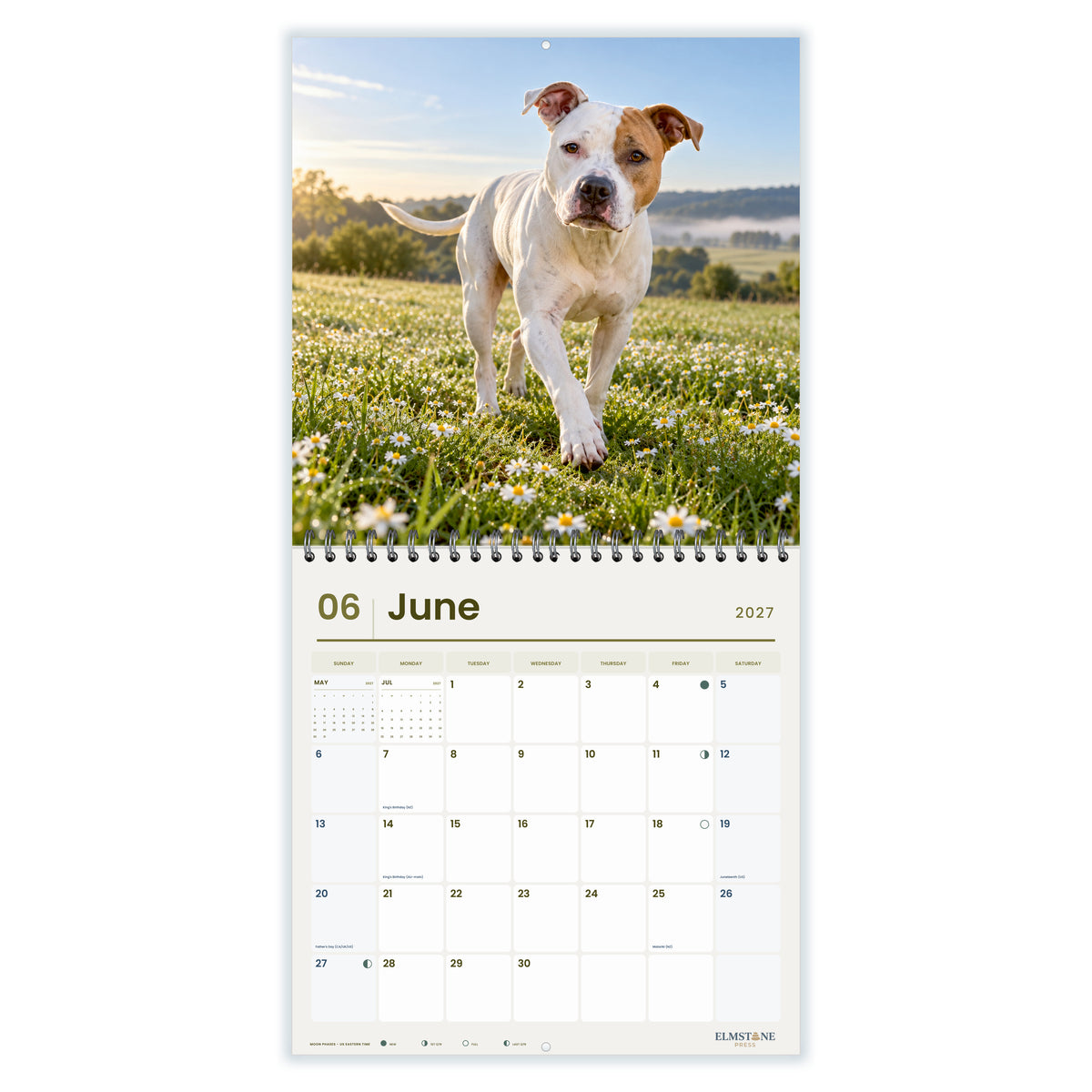 2027 American Pit Bull Terriers Wire-O square wall calendar - June open monthly spread on white