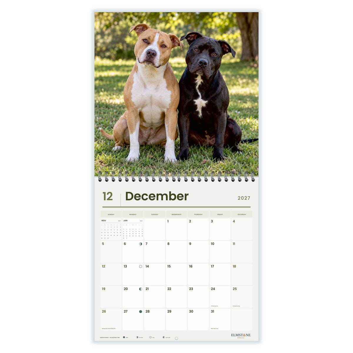 2027 American Pit Bull Terriers Wire-O square wall calendar - December open monthly spread on white