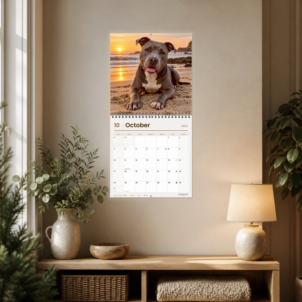 2027 American Pit Bull Terriers Wire-O square wall calendar - October open calendar displayed in a reading nook