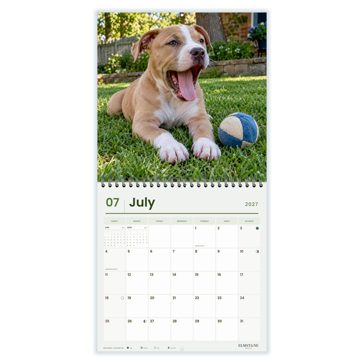 2027 American Staffordshire Terrier Puppies Wire-O square wall calendar - july open monthly spread on white