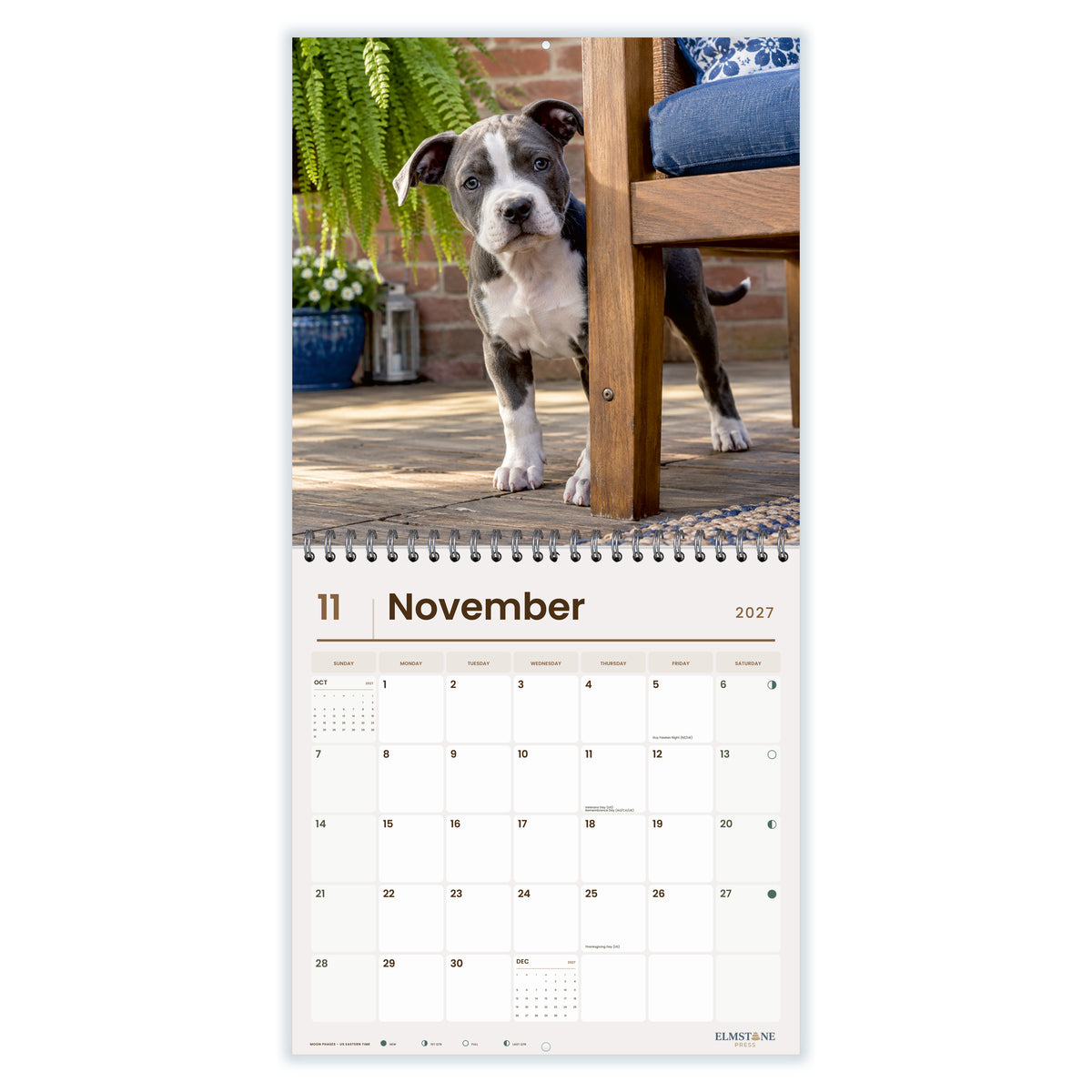 2027 American Staffordshire Terrier Puppies Wire-O square wall calendar - november open monthly spread on white