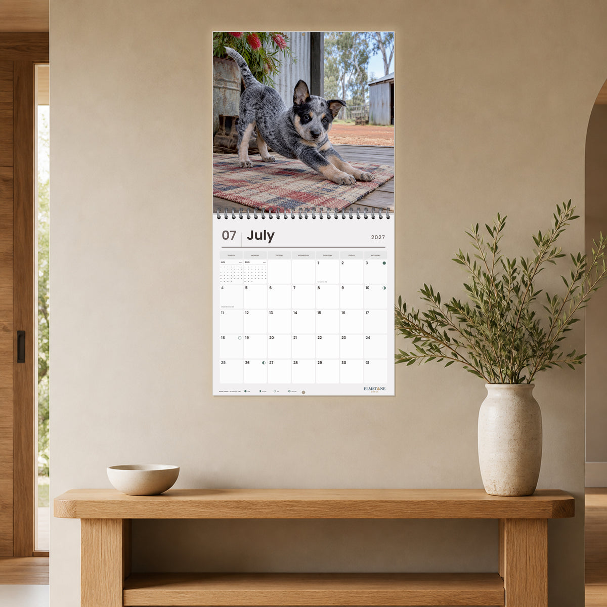 2027 Australian Cattle Dog Puppies Wire-O square wall calendar - open calendar displayed in a taupe entry july