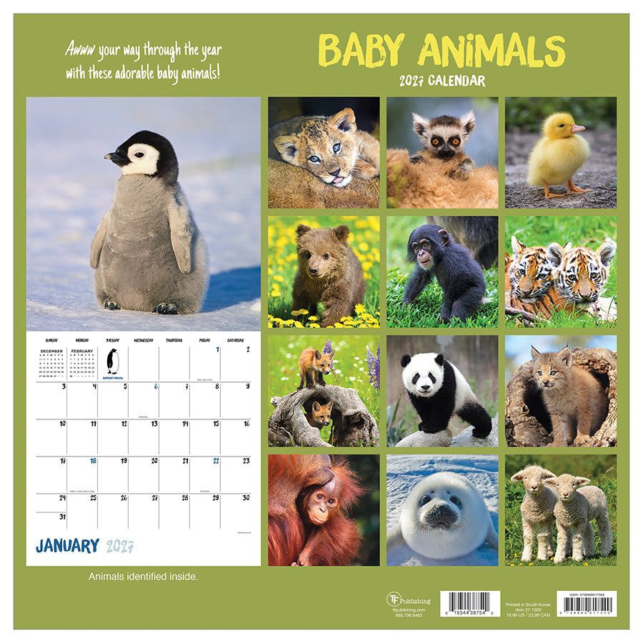 2027 Baby Animals wall calendar back cover and animal photographs