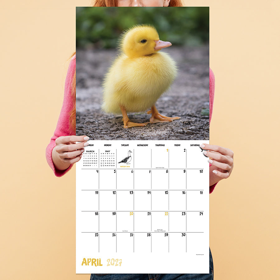 2027 Baby Animals wall calendar showing its open size