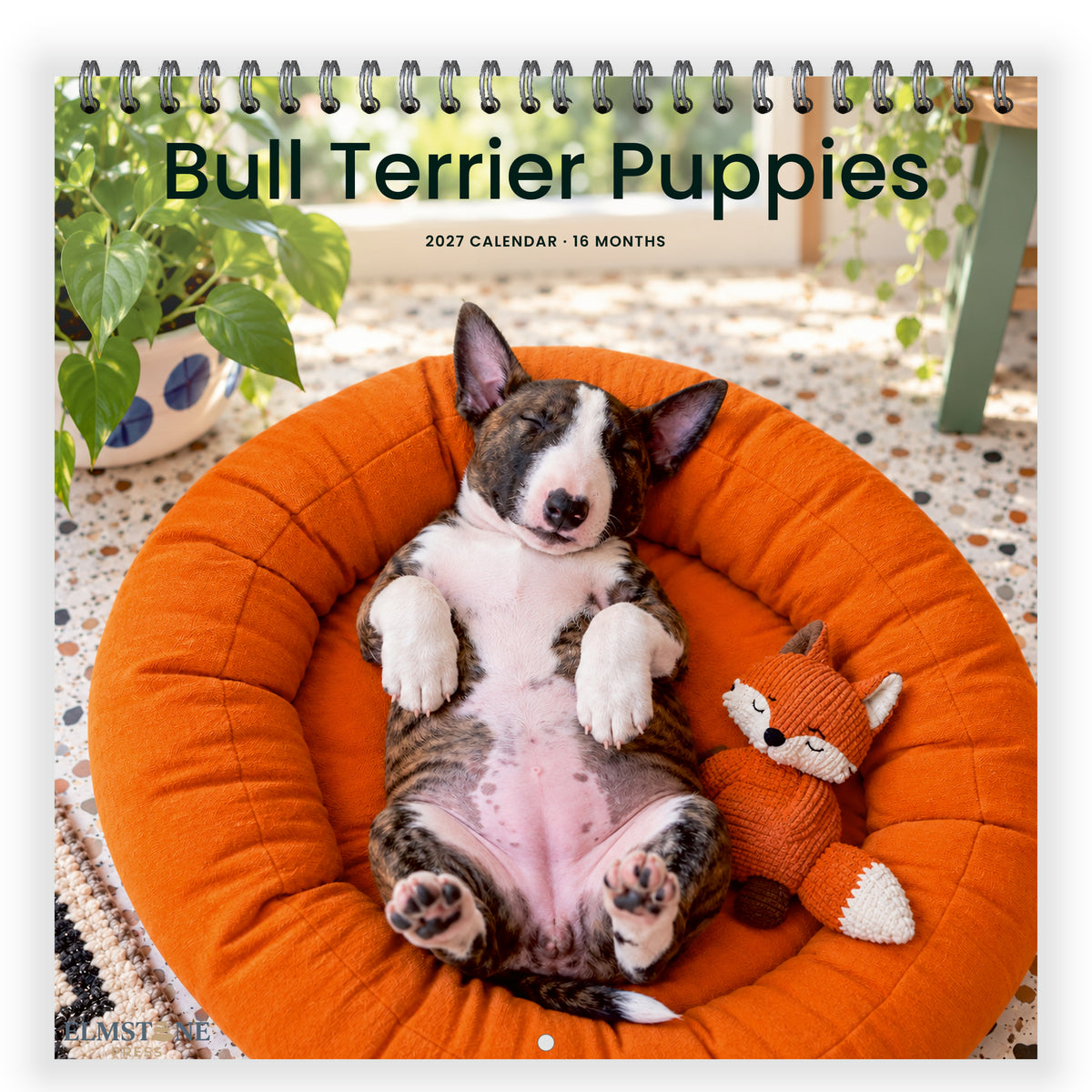 2027 Bull Terrier Puppies Wire-O square wall calendar - front cover