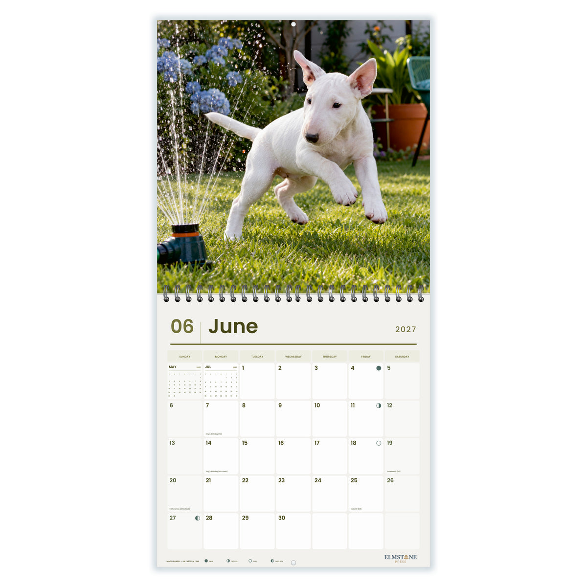 2027 Bull Terrier Puppies Wire-O square wall calendar - june open monthly spread on white