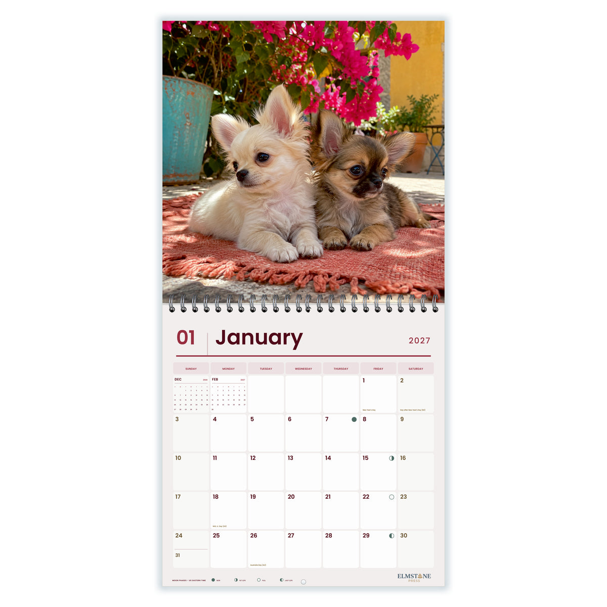 2027 Chihuahua Puppies Wire-O square wall calendar - january open monthly spread on white