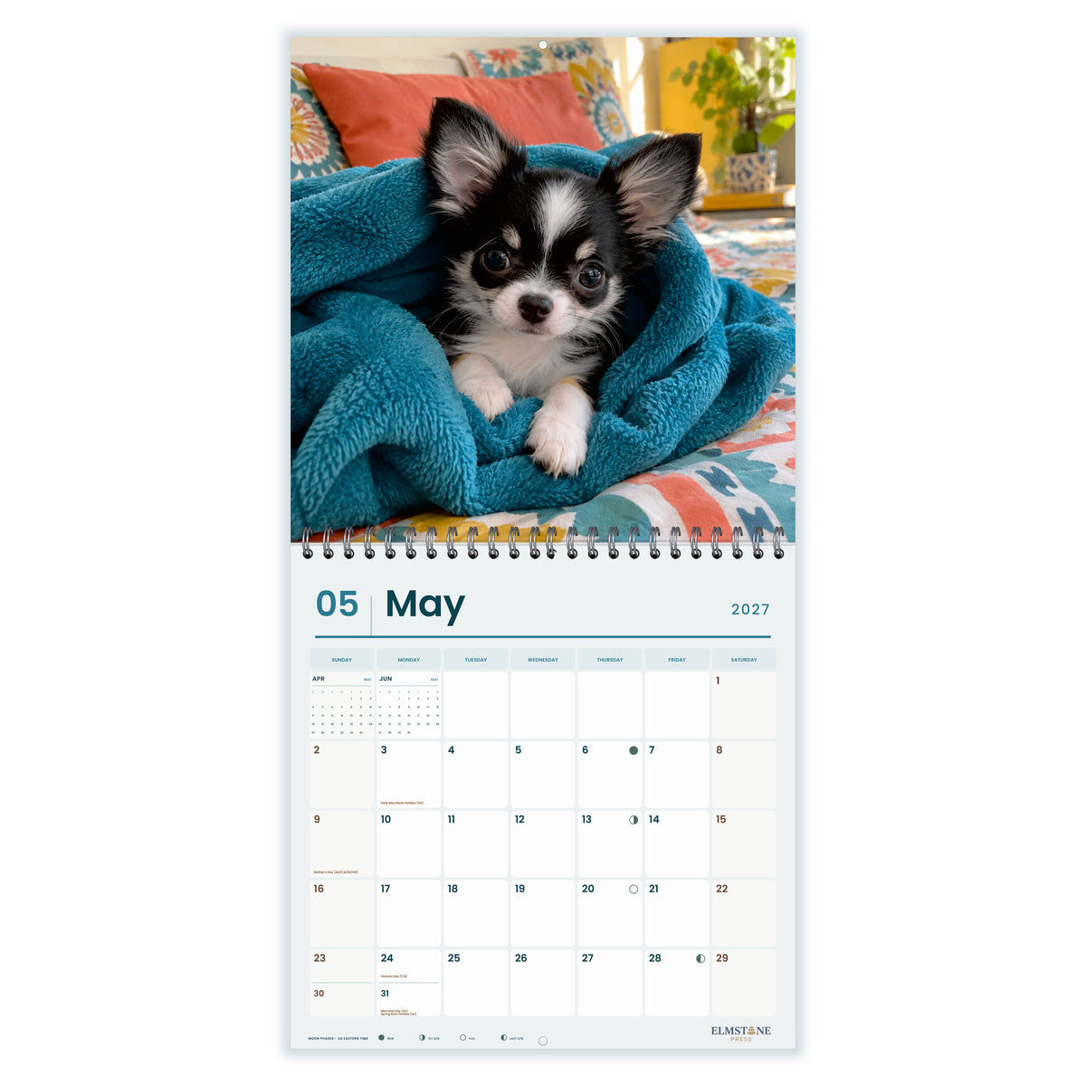 2027 Chihuahua Puppies Wire-O square wall calendar - may open monthly spread on white