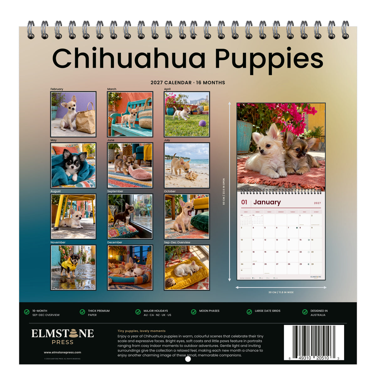 2027 Chihuahua Puppies Wire-O square wall calendar - back cover