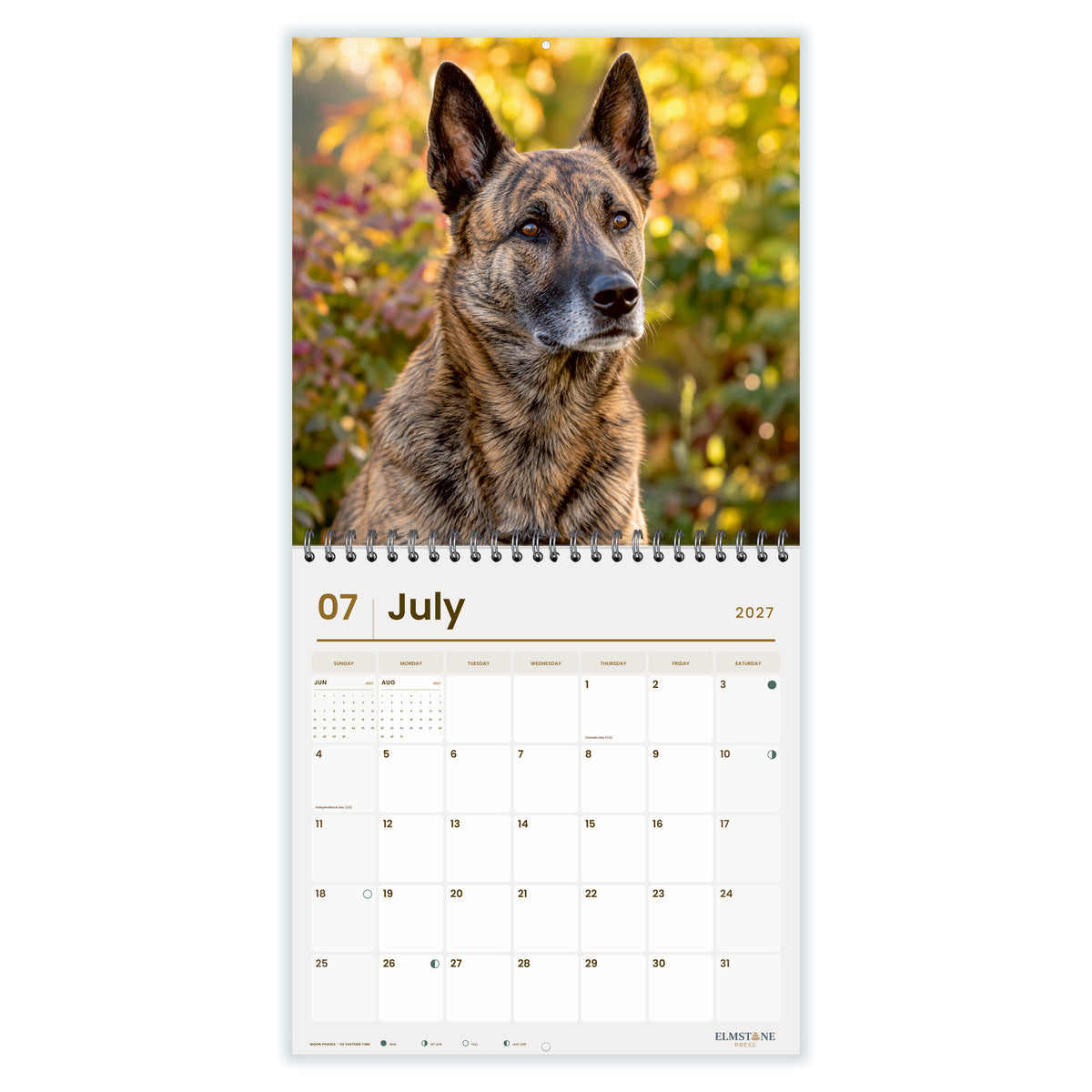 2027 Dutch Shepherds Wire-O square wall calendar - july open monthly spread on white
