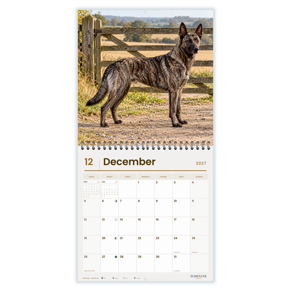 2027 Dutch Shepherds Wire-O square wall calendar - december open monthly spread on white
