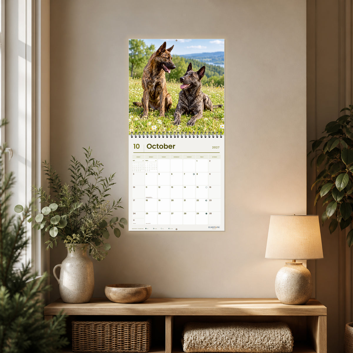 2027 Dutch Shepherds Wire-O square wall calendar - open calendar displayed in a close reading nook october