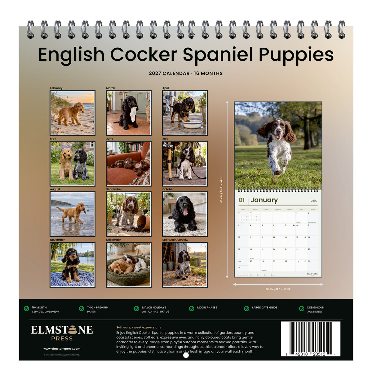 2027 English Cocker Spaniel Puppies Wire-O square wall calendar - back cover