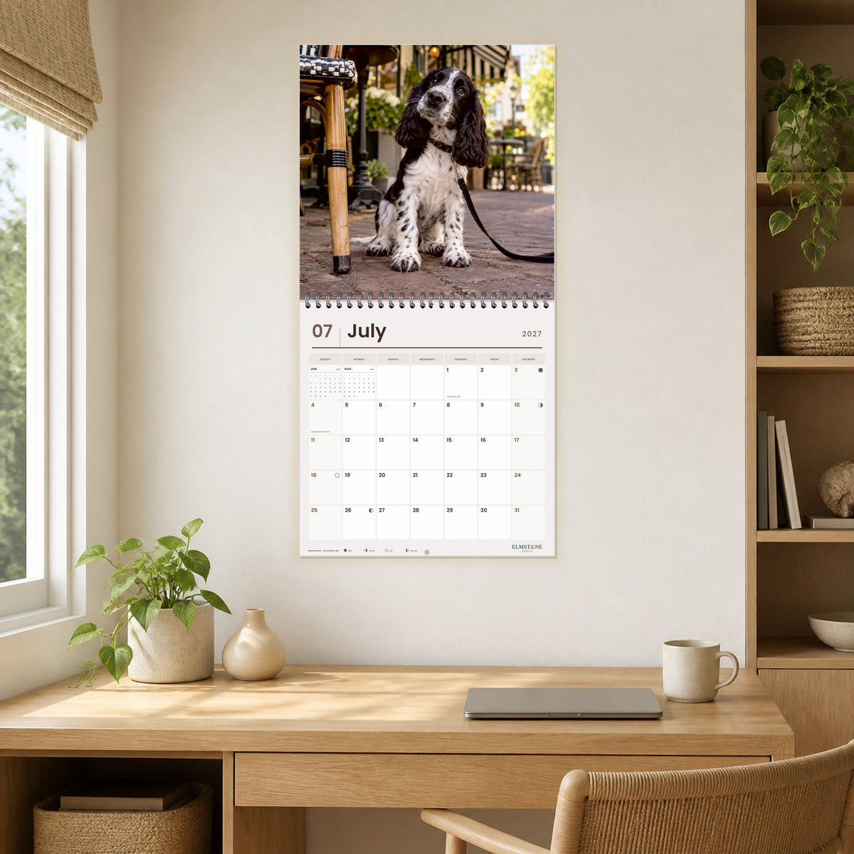 2027 English Cocker Spaniel Puppies Wire-O square wall calendar - open calendar displayed in a oak home office july