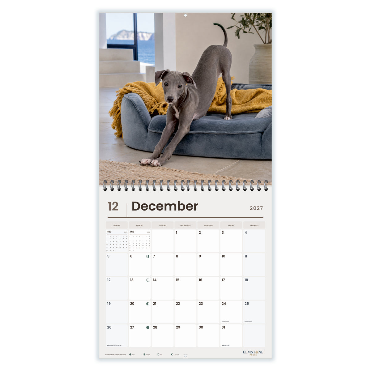 2027 Italian Greyhound Puppies Wire-O square wall calendar - december open monthly spread on white