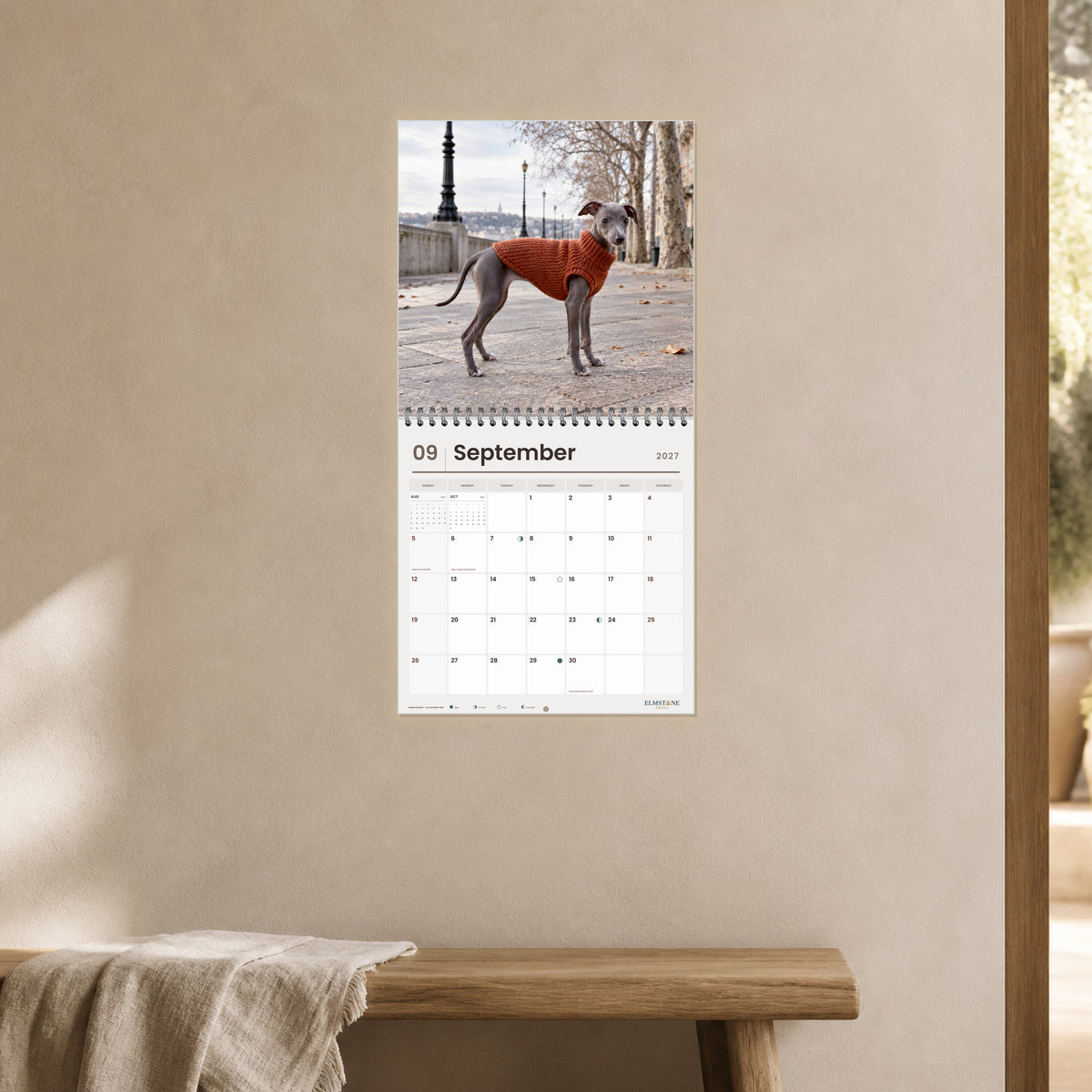 2027 Italian Greyhound Puppies Wire-O square wall calendar - open calendar displayed in a clay hallway september