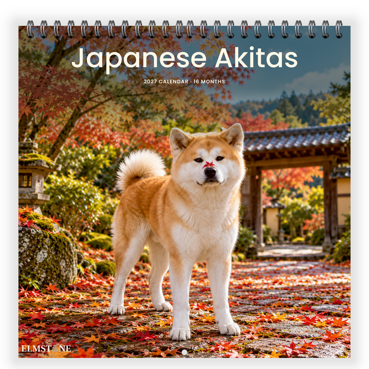 2027 Japanese Akitas Wire-O square wall calendar - front cover