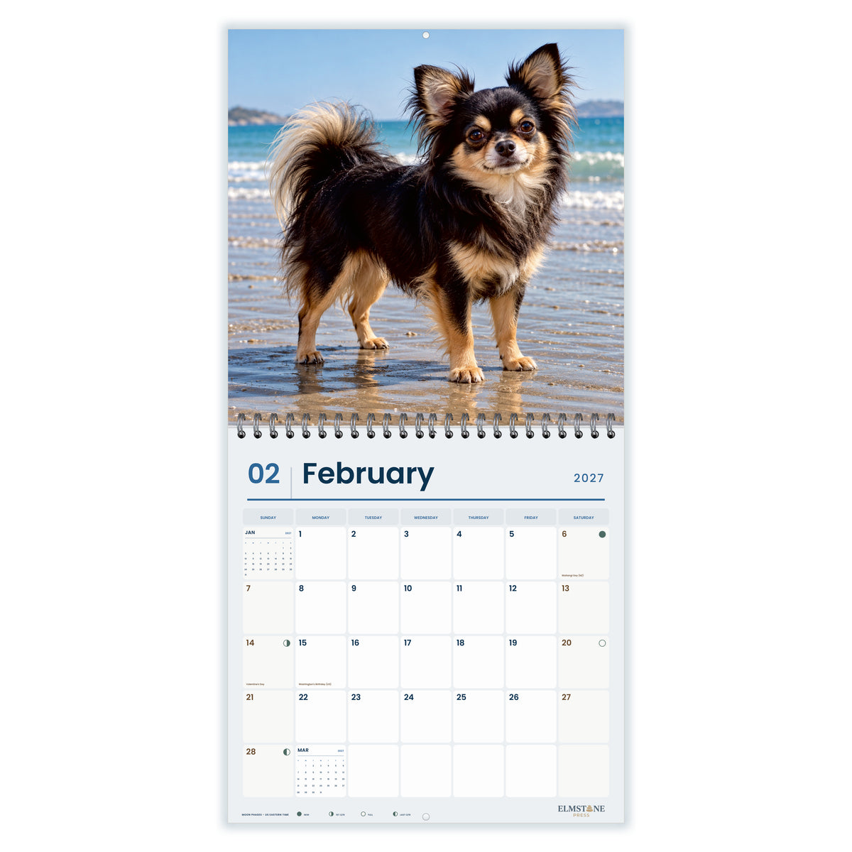 2027 Long-haired Chihuahuas Wire-O square wall calendar - february open monthly spread on white