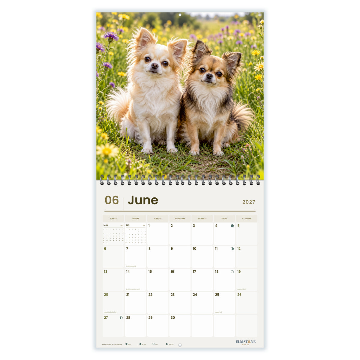 2027 Long-haired Chihuahuas Wire-O square wall calendar - june open monthly spread on white