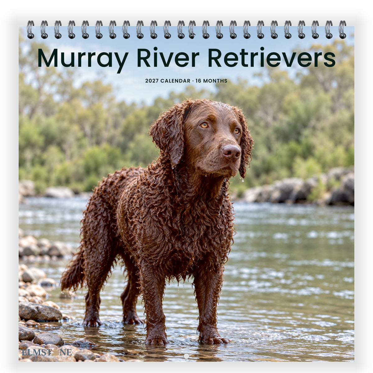 2027 Murray River Retrievers Wire-O square wall calendar - front cover